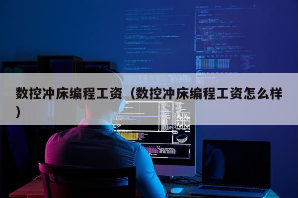 数控冲床编程工资（数控冲床编程工资怎么样）