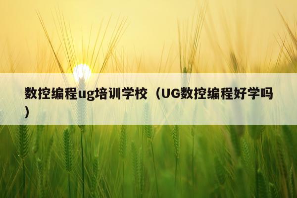 数控编程ug培训学校（UG数控编程好学吗）