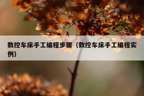 数控车床手工编程步骤（数控车床手工编程实例）