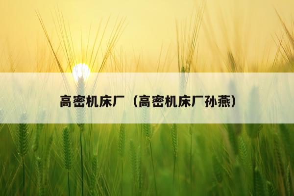 高密机床厂(高密机床厂孙燕)