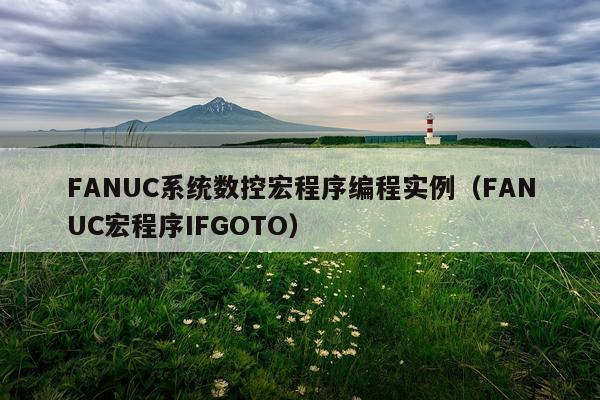 FANUC系统数控宏程序编程实例（FANUC宏程序IFGOTO）