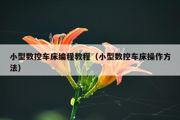 小型数控车床编程教程（小型数控车床操作方法）