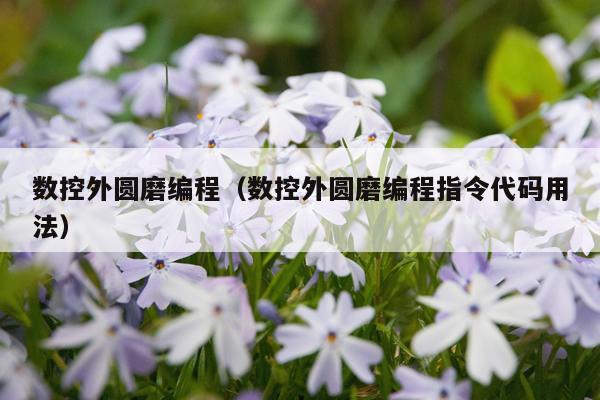 数控外圆磨编程（数控外圆磨编程指令代码用法）