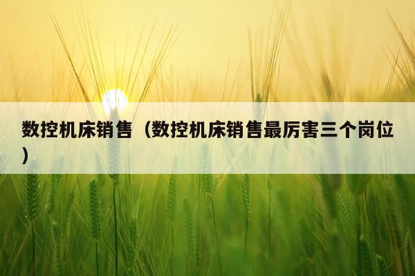 数控机床销售（数控机床销售最厉害三个岗位）
