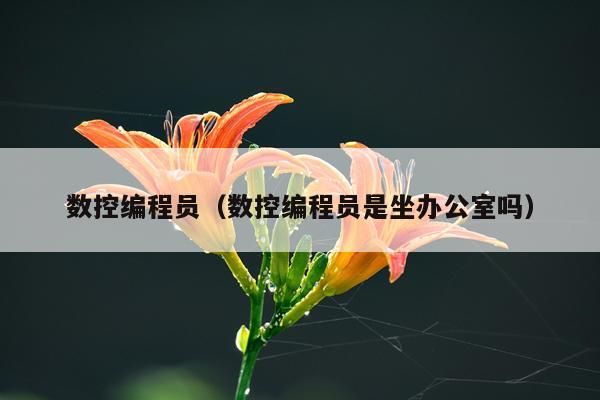 数控编程员（数控编程员是坐办公室吗）
