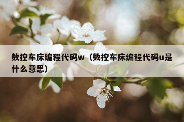 数控车床编程代码w（数控车床编程代码u是什么意思）