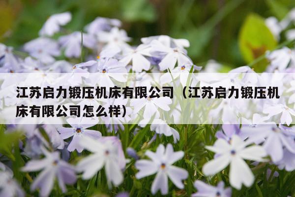 江苏启力锻压机床有限公司(江苏启力锻压机床有限公司怎么样)