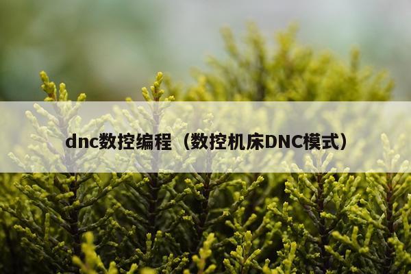 dnc数控编程（数控机床DNC模式）