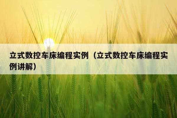 立式数控车床编程实例（立式数控车床编程实例讲解）