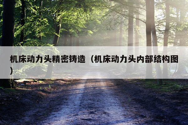 机床动力头精密铸造（机床动力头内部结构图）