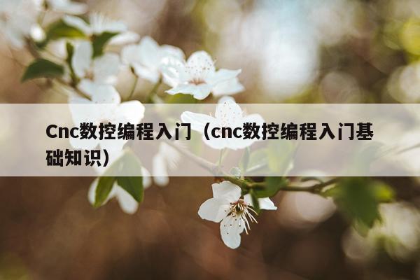 Cnc数控编程入门（cnc数控编程入门基础知识）