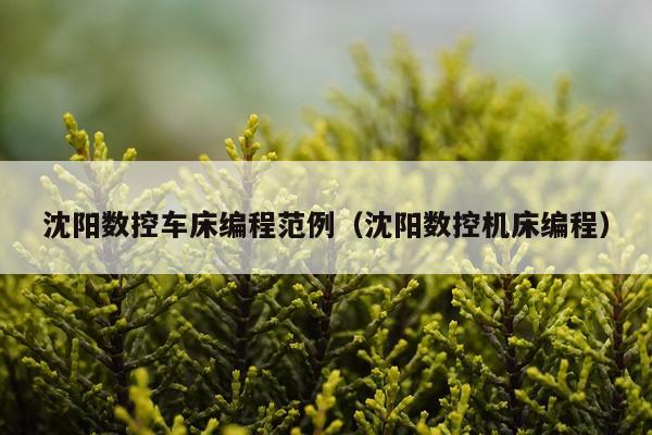 沈阳数控车床编程范例（沈阳数控机床编程）