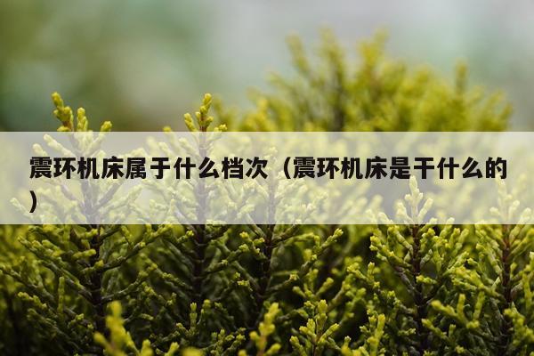 震环机床属于什么档次（震环机床是干什么的）