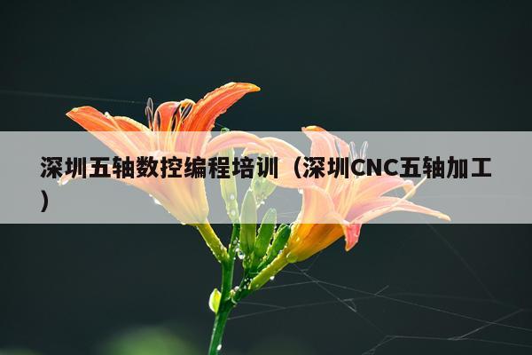 深圳五轴数控编程培训（深圳CNC五轴加工）