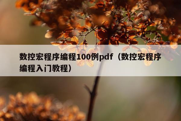 数控宏程序编程100例pdf（数控宏程序编程入门教程）