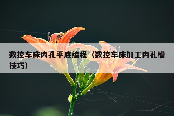 数控车床内孔平底编程（数控车床加工内孔槽技巧）