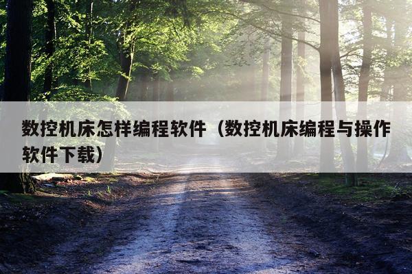 数控机床怎样编程软件（数控机床编程与操作软件下载）