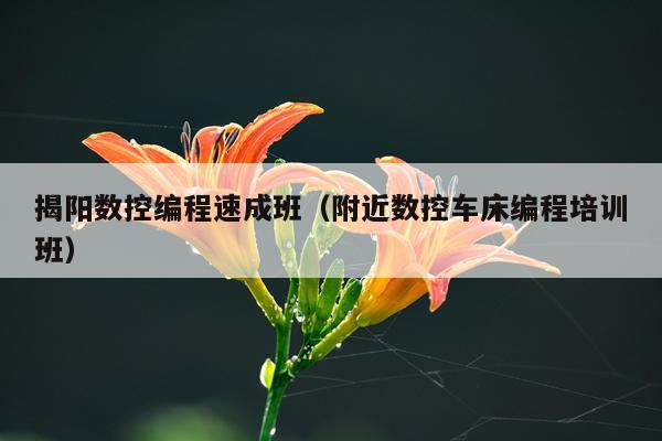 揭阳数控编程速成班（附近数控车床编程培训班）