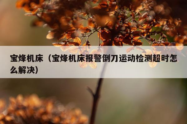 宝烽机床（宝烽机床报警倒刀运动检测超时怎么解决）