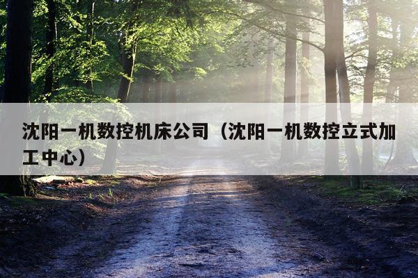 沈阳一机数控机床公司(沈阳一机数控立式加工中心)