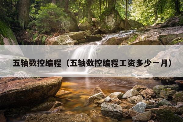 五轴数控编程（五轴数控编程工资多少一月）