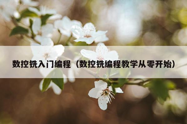 数控铣入门编程（数控铣编程教学从零开始）