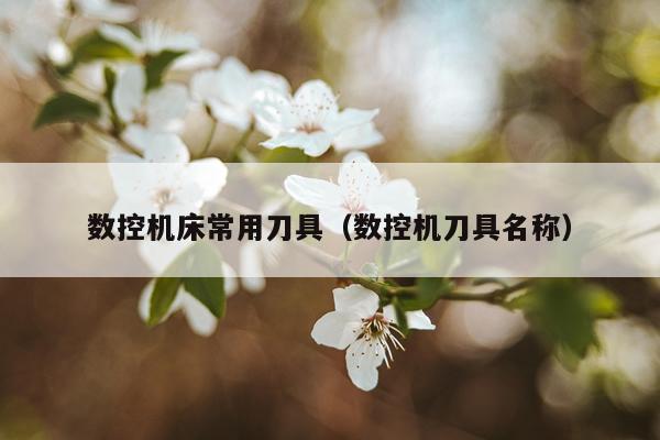 数控机床常用刀具（数控机刀具名称）