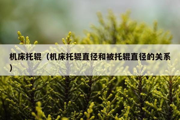 机床托辊（机床托辊直径和被托辊直径的关系）