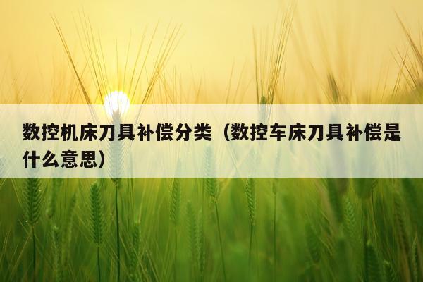 数控机床刀具补偿分类（数控车床刀具补偿是什么意思）