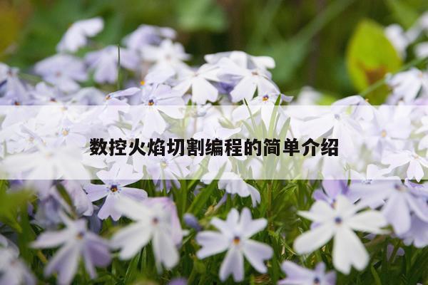 数控火焰切割编程的简单介绍