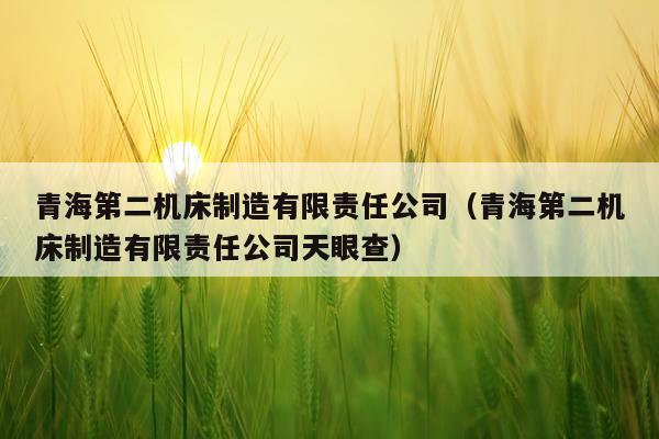 青海第二机床制造有限责任公司（青海第二机床制造有限责任公司天眼查）