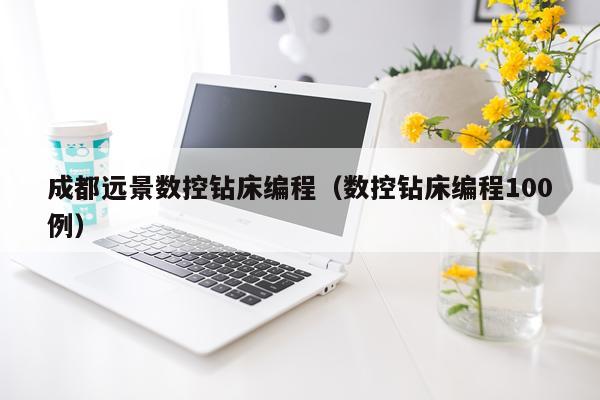 成都远景数控钻床编程（数控钻床编程100例）