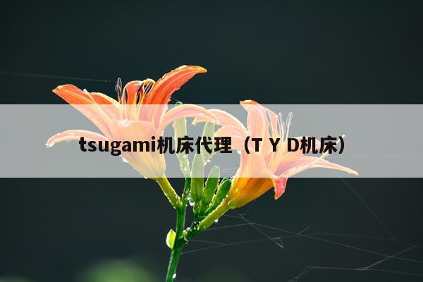 tsugami机床代理（T Y D机床）