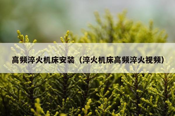 高频淬火机床安装（淬火机床高频淬火视频）
