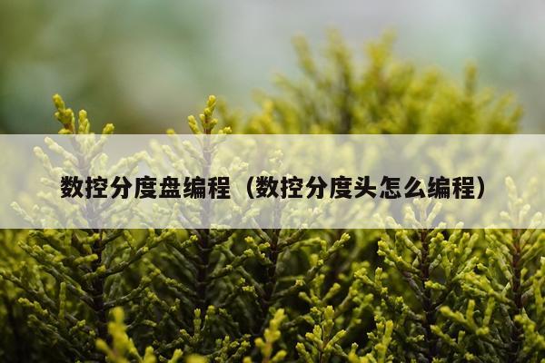 数控分度盘编程（数控分度头怎么编程）