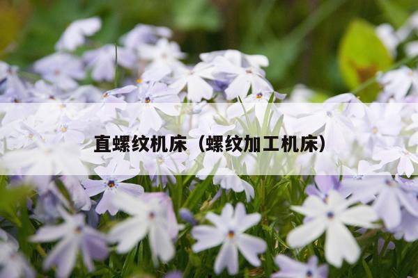 直螺纹机床（螺纹加工机床）