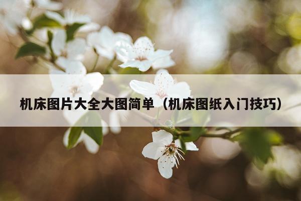 机床图片大全大图简单（机床图纸入门技巧）