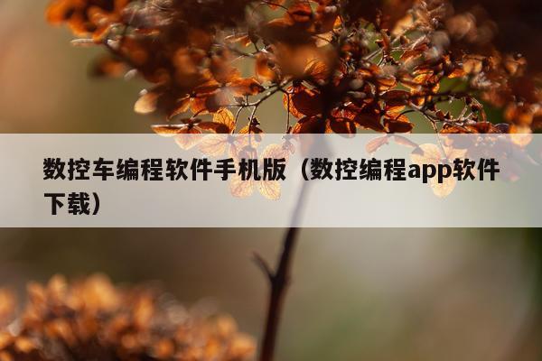 数控车编程软件手机版（数控编程app软件下载）