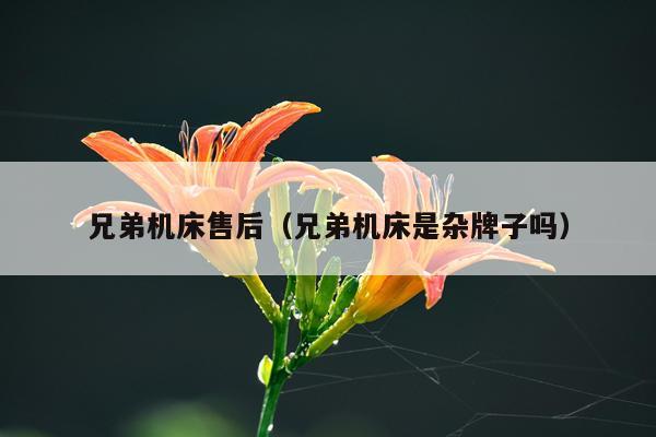 兄弟机床售后（兄弟机床是杂牌子吗）