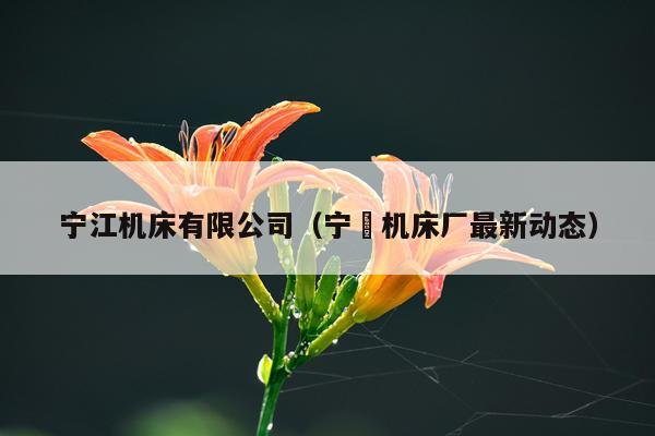 宁江机床有限公司（宁冮机床厂最新动态）