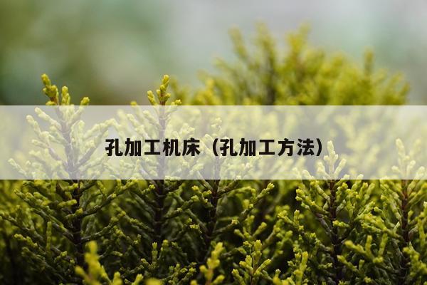 孔加工机床（孔加工方法）