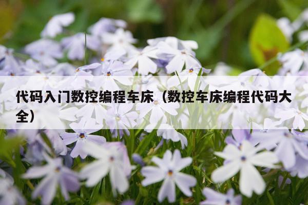 代码入门数控编程车床（数控车床编程代码大全）