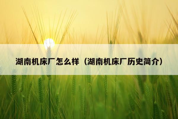 湖南机床厂怎么样（湖南机床厂历史简介）