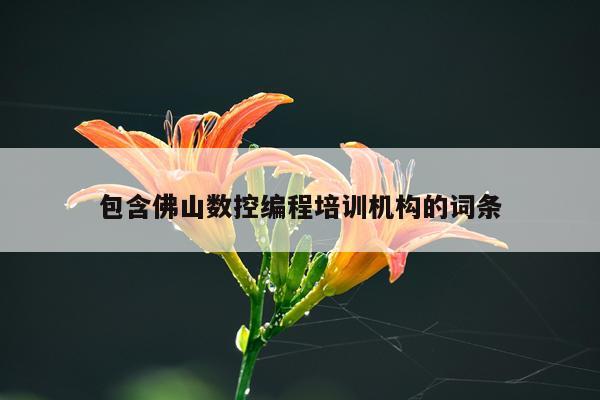 包含佛山数控编程培训机构的词条