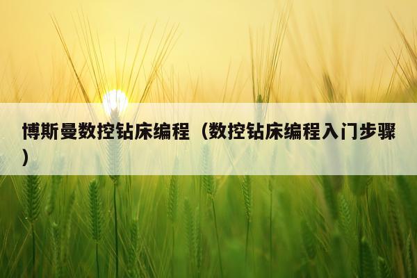 博斯曼数控钻床编程（数控钻床编程入门步骤）