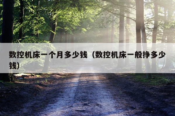 数控机床一个月多少钱（数控机床一般挣多少钱）