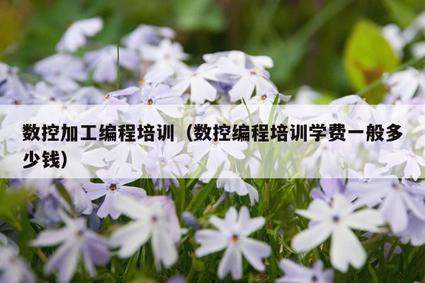 数控加工编程培训（数控编程培训学费一般多少钱）
