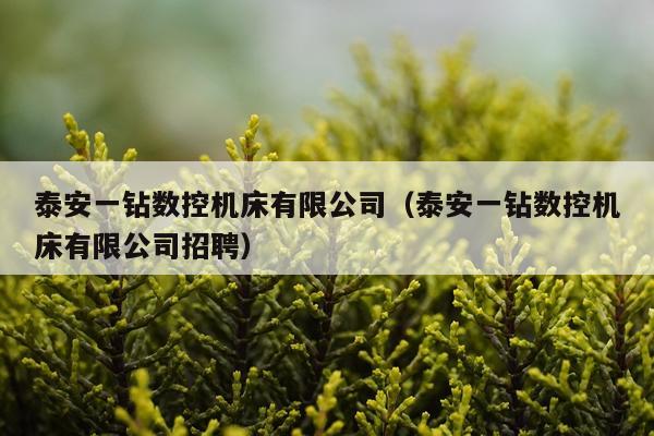 泰安一钻数控机床有限公司(泰安一钻数控机床有限公司招聘)