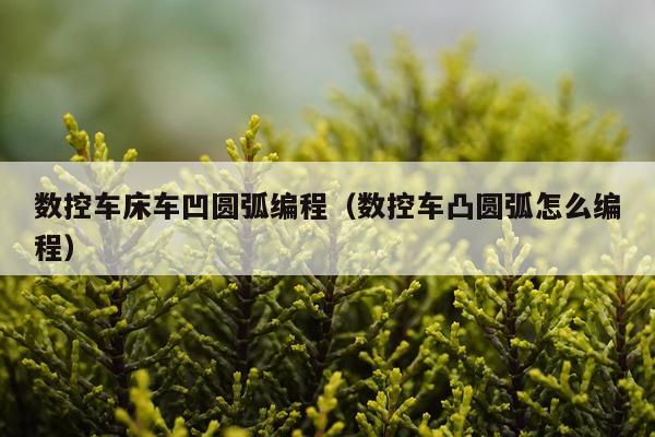 数控车床车凹圆弧编程(数控车凸圆弧怎么编程)