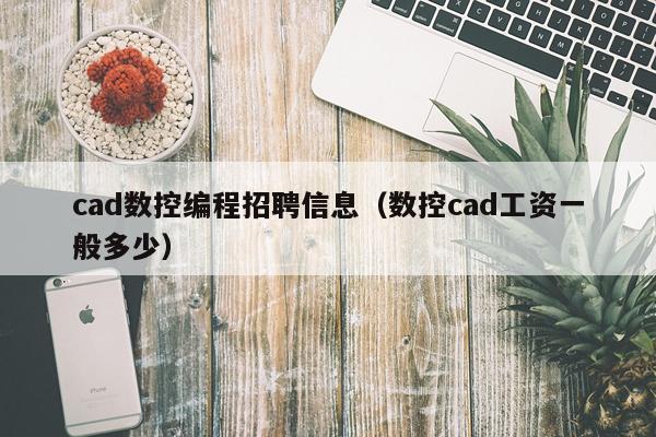 cad数控编程招聘信息(数控cad工资一般多少)